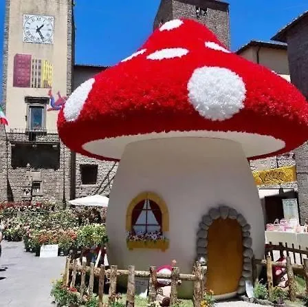 Appartamento Nella Tuscia La Pucciarella